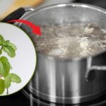 Il trucco della nonna con le foglie di menta che non potrai più ignorare